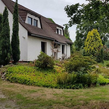 Ferienwohnung "Waldfrieden" Altdobern Exterior foto